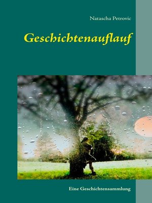 cover image of Geschichtenauflauf